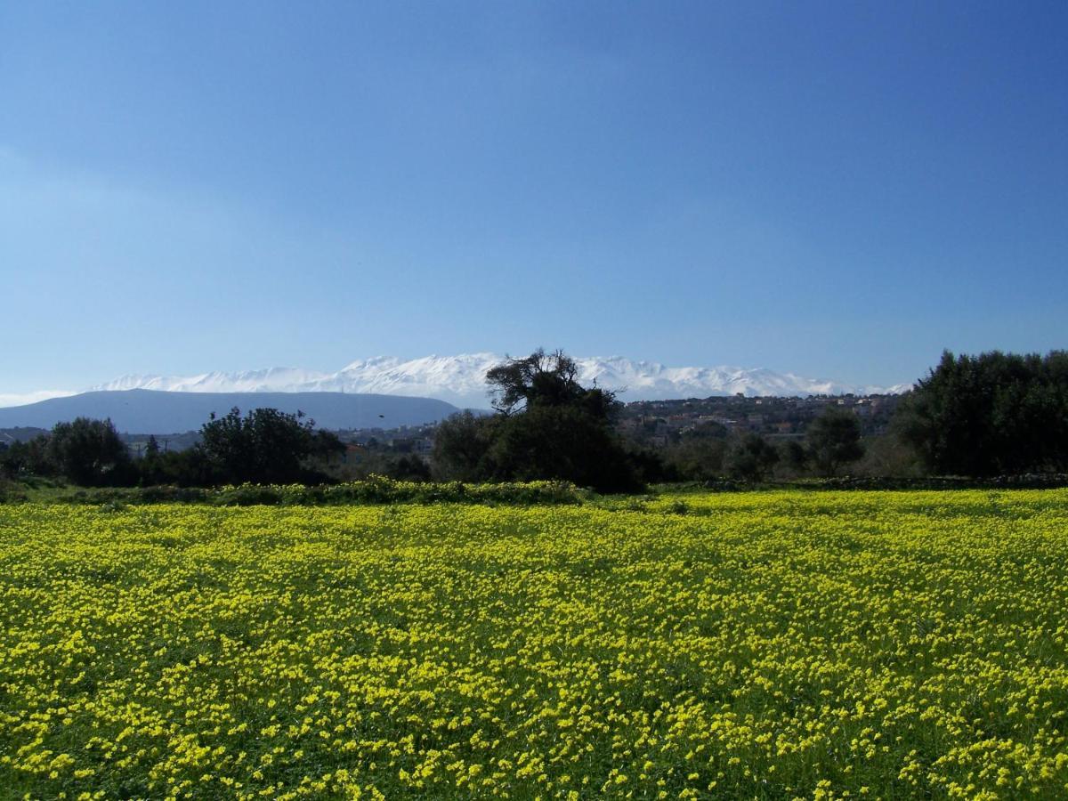 Manolo S Olive Farm, Apartment With Seaview Chania  Exterior foto