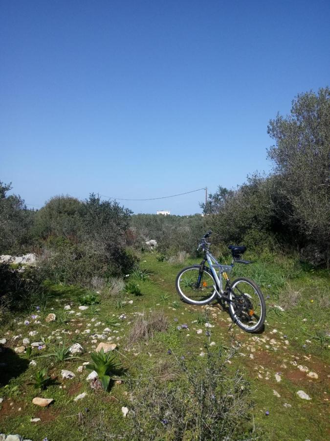Manolo S Olive Farm, Apartment With Seaview Chania  Exterior foto